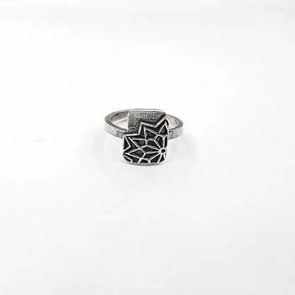 Anillo Eterna Estrella